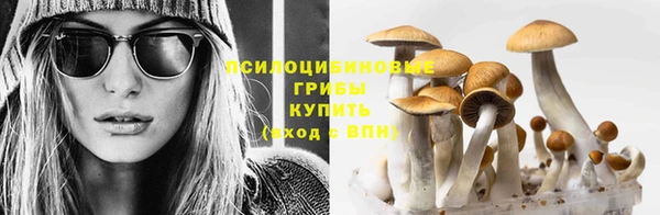 марки nbome Верея