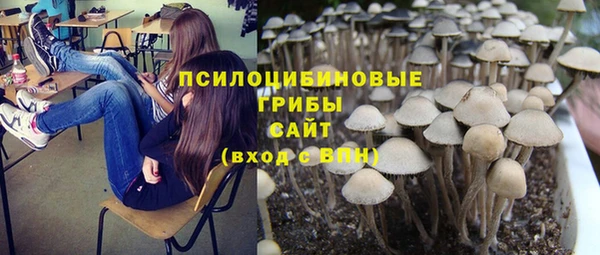 соль курить ск Волосово