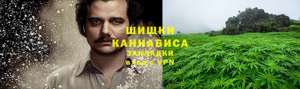 стаф Анжеро-Судженск