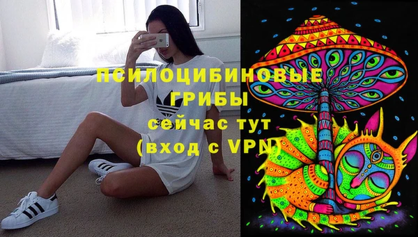 спиды Володарск
