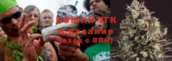 дживик Верхний Тагил